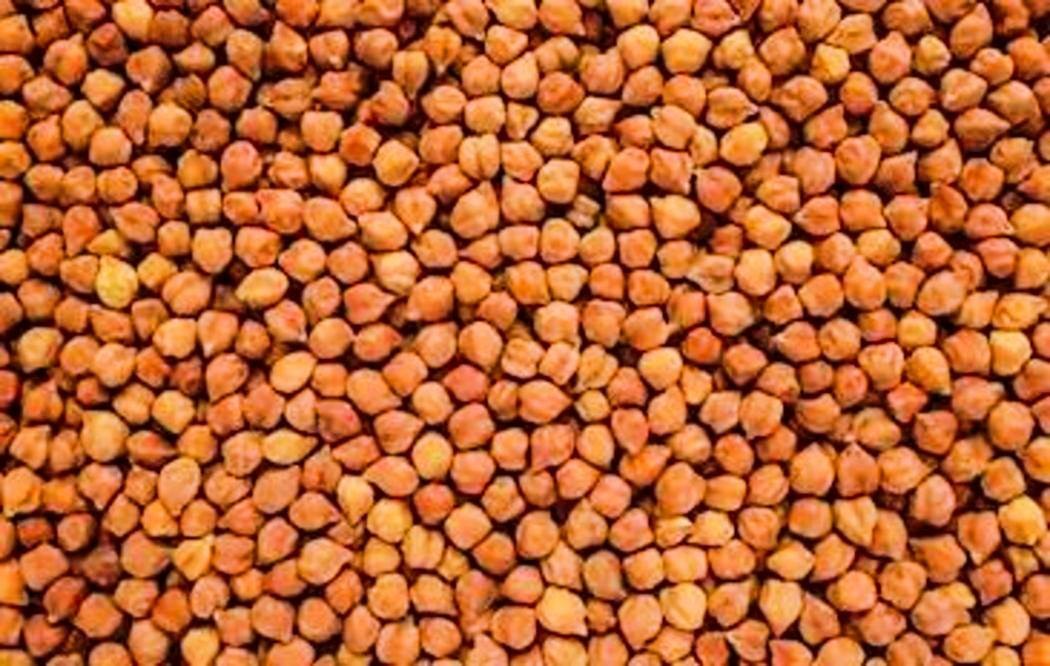 Bengal Gram (Chana)