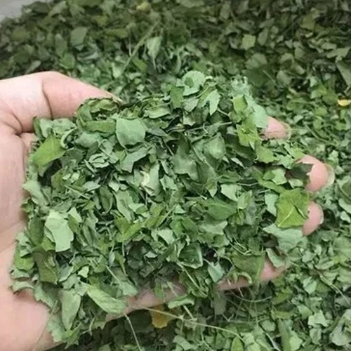 Moringa Leaves